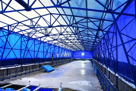 Утепленный тентовый ангар 12 x 68 x 4 м для укрытия поймы по разведению рыбы — фото 2